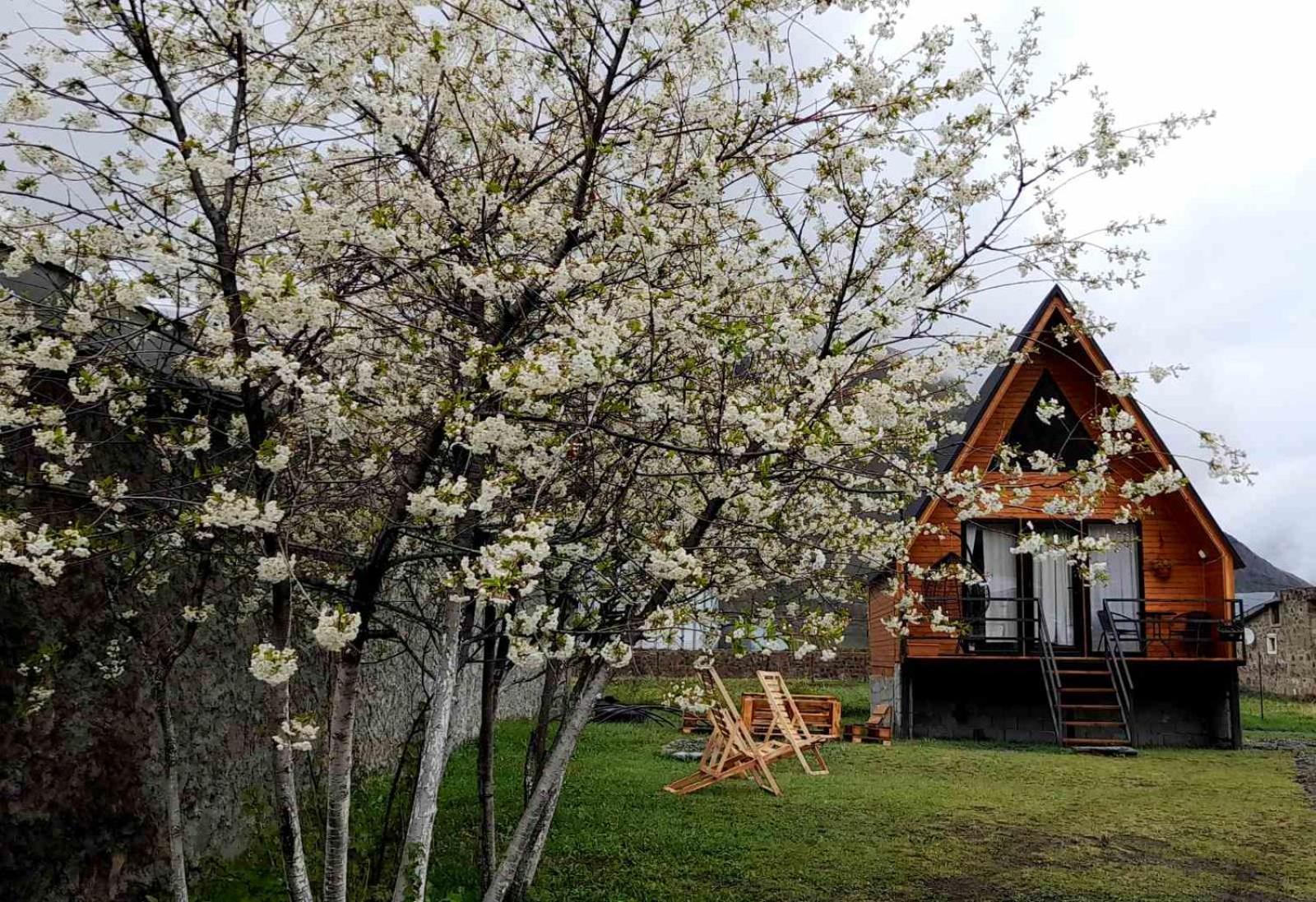 Thomas' Hut Appartement Kasbegi Buitenkant foto